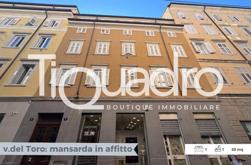 Mansarda via del Toro 7, Largo Barriera - Ospedale Maggiore, Trieste — foto 10 di 20