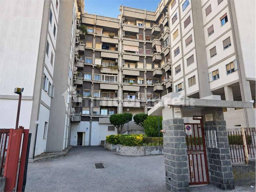 Appartamento via Bezzecca , 65, Fortuna - Corvo, Catanzaro — foto 5 di 22