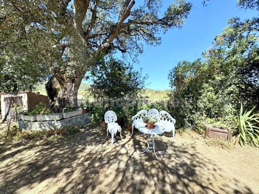 Terratetto plurifamiliare Strada Vicinale delle Piane, Porto Ercole, Monte Argentario — foto 11 di 25