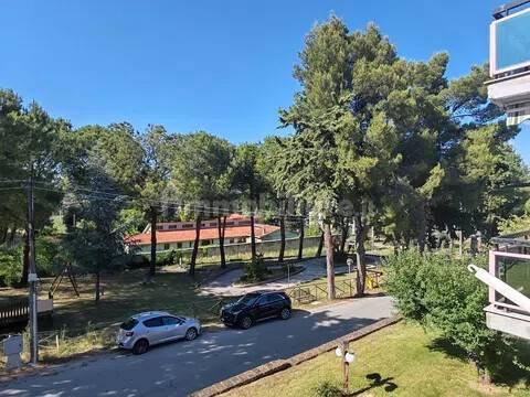 Quadrilocale via Dante Alighieri Nn, Centro, Catignano — foto 10 di 17
