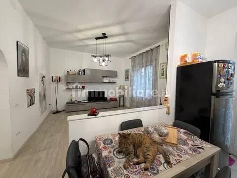 Appartamento buono stato, secondo piano, Centro, Piombino — foto 23 di 23