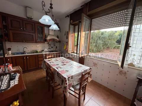 Appartamento Località Ghiaccioni, Centro, Piombino — foto 15 di 23