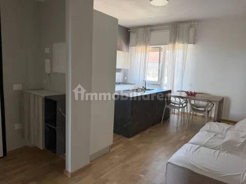 Appartamento viale Regina Margherita, Centro, Piombino — foto 4 di 26
