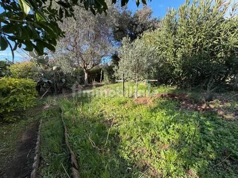 Appartamento buono stato, ammezzato, Centro, Piombino — foto 26 di 42