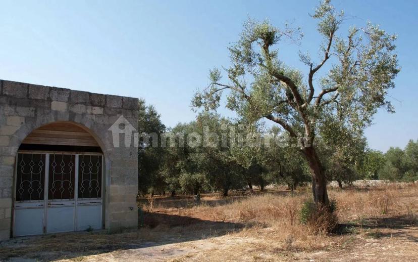 Villa unifamiliare Vicinale Scineo No Number, Melpignano — foto 3 di 11