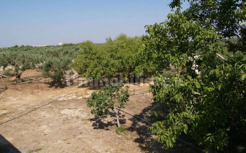 Villa unifamiliare Vicinale Scineo No Number, Melpignano — foto 6 di 11