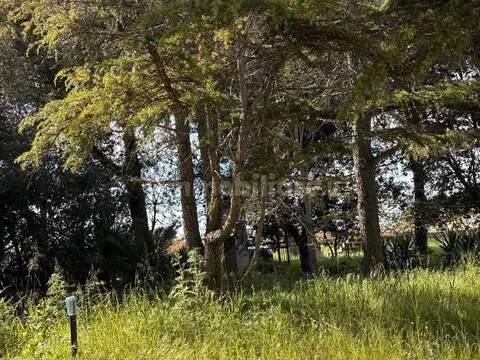 Villa unifamiliare Contrada Sirgole No Number, Cutrofiano — foto 5 di 15