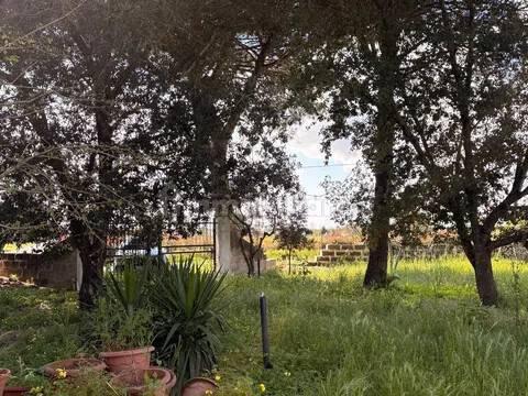 Villa unifamiliare Contrada Sirgole No Number, Cutrofiano — foto 2 di 15