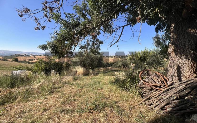 Rustico Colle dell\'Aglio snc, Centro, Atessa — foto 2 di 9