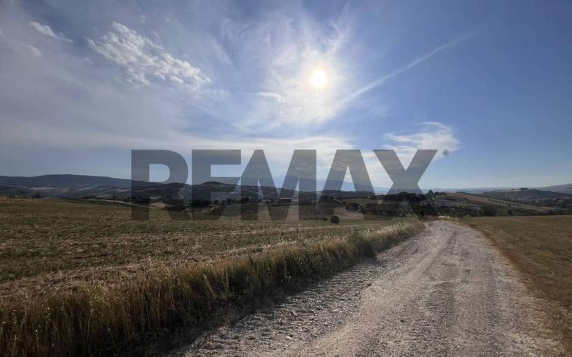 Rustico Colle dell\'Aglio snc, Centro, Atessa — foto 6 di 9