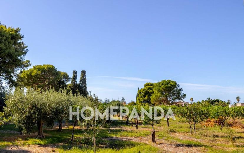 Villa unifamiliare via degli Agrumi, Centro, Cinisi — foto 3 di 48