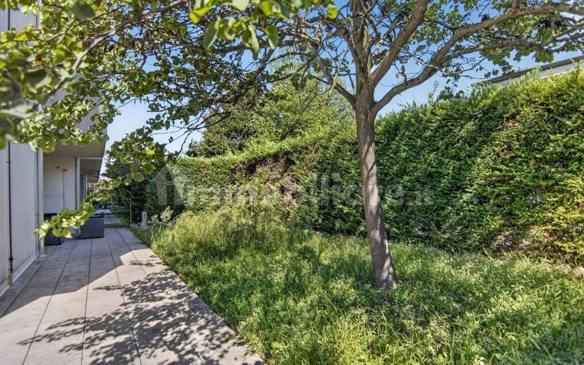 Bilocale buono stato, piano terra, Noventa, Noventa Padovana — foto 12 di 16