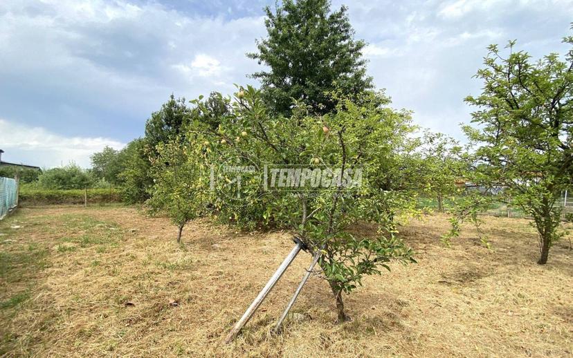 Terratetto unifamiliare Cantone Terzoglio, Castelletto Cervo — foto 6 di 35