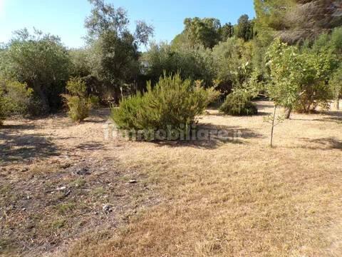 Villa unifamiliare Località Monte Carru, Pivarada, Alghero — foto 75 di 81