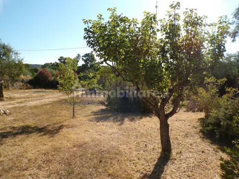 Villa unifamiliare Località Monte Carru, Pivarada, Alghero — foto 30 di 81