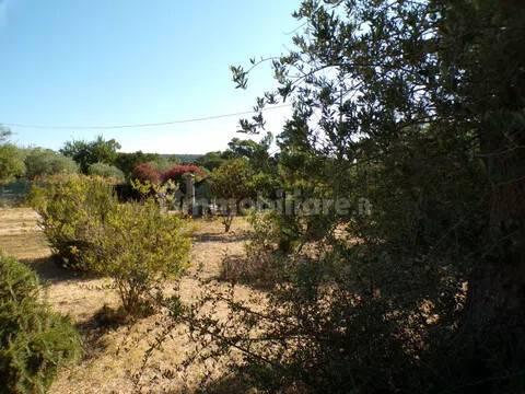 Villa unifamiliare Località Monte Carru, Pivarada, Alghero — foto 76 di 81