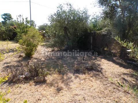Villa unifamiliare Località Monte Carru, Pivarada, Alghero — foto 12 di 81