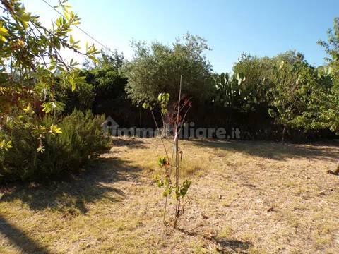 Villa unifamiliare Località Monte Carru, Pivarada, Alghero — foto 27 di 81