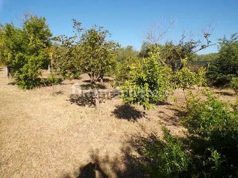Villa unifamiliare Località Monte Carru, Pivarada, Alghero — foto 19 di 81