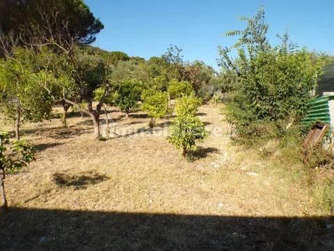 Villa unifamiliare Località Monte Carru, Pivarada, Alghero — foto 44 di 81
