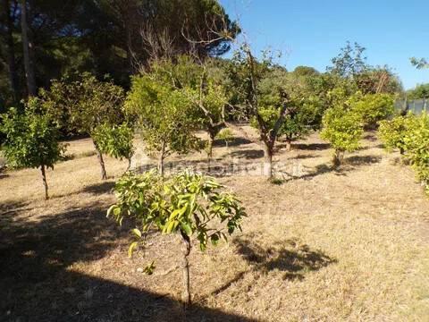 Villa unifamiliare Località Monte Carru, Pivarada, Alghero — foto 77 di 81