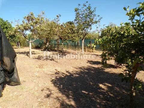 Villa unifamiliare Località Monte Carru, Pivarada, Alghero — foto 10 di 81