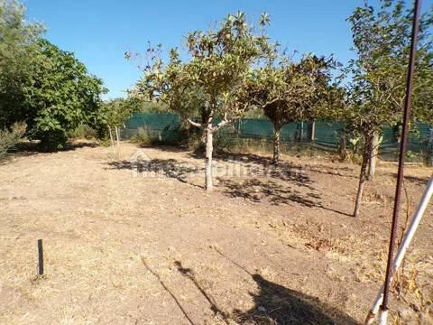 Villa unifamiliare Località Monte Carru, Pivarada, Alghero — foto 20 di 81