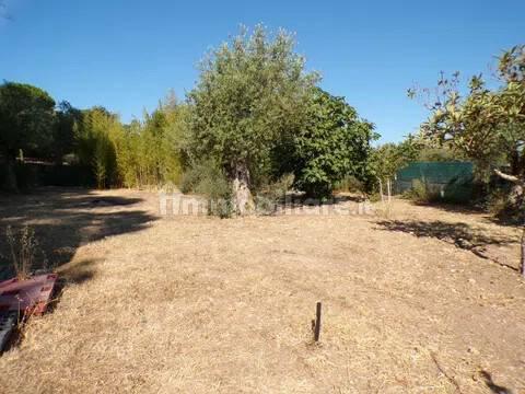Villa unifamiliare Località Monte Carru, Pivarada, Alghero — foto 60 di 81