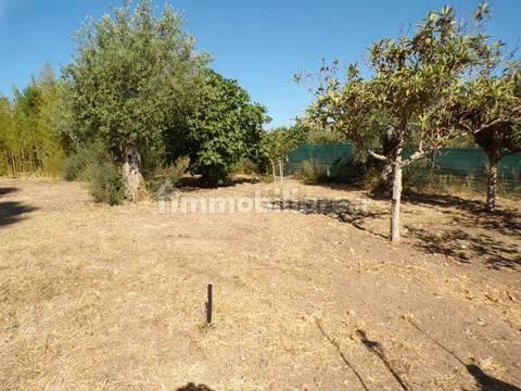 Villa unifamiliare Località Monte Carru, Pivarada, Alghero — foto 2 di 81