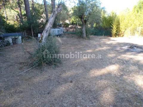 Villa unifamiliare Località Monte Carru, Pivarada, Alghero — foto 8 di 81