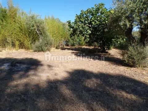 Villa unifamiliare Località Monte Carru, Pivarada, Alghero — foto 22 di 81