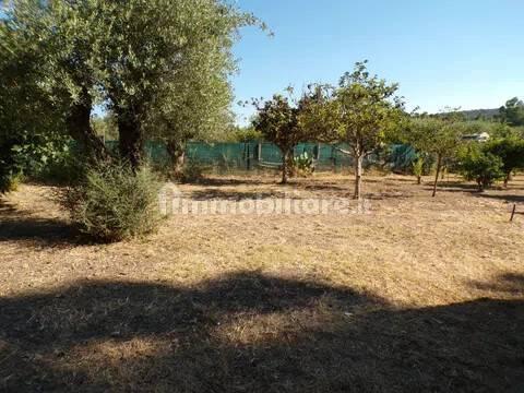 Villa unifamiliare Località Monte Carru, Pivarada, Alghero — foto 59 di 81