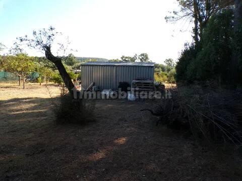 Villa unifamiliare Località Monte Carru, Pivarada, Alghero — foto 71 di 81