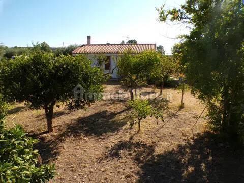 Villa unifamiliare Località Monte Carru, Pivarada, Alghero — foto 9 di 81