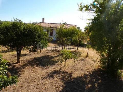 Villa unifamiliare Località Monte Carru, Pivarada, Alghero — foto 78 di 81