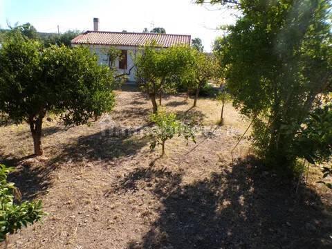 Villa unifamiliare Località Monte Carru, Pivarada, Alghero — foto 23 di 81