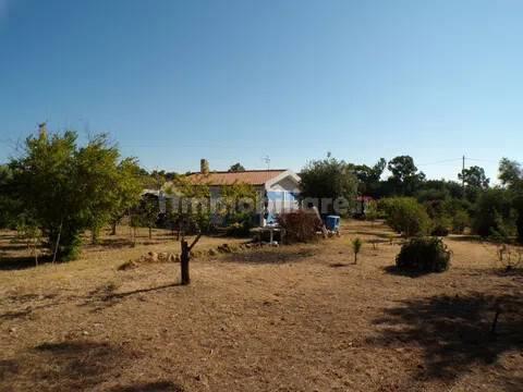 Villa unifamiliare Località Monte Carru, Pivarada, Alghero — foto 18 di 81
