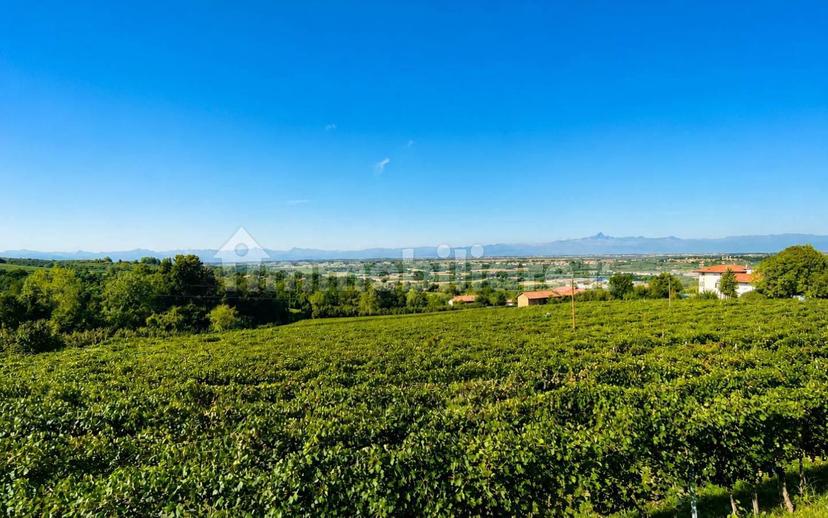 Villa unifamiliare via La Morra, Cherasco — foto 35 di 38