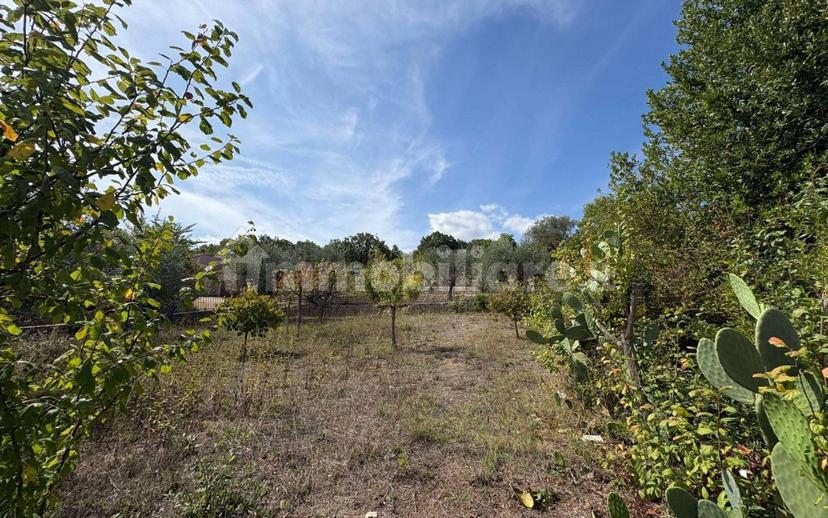 Villa unifamiliare viale Torre Moscia, Selva di Fasano, Laureto, Fasano — foto 32 di 32