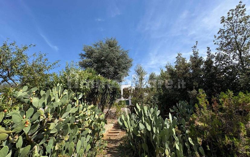Villa unifamiliare viale Torre Moscia, Selva di Fasano, Laureto, Fasano — foto 25 di 32