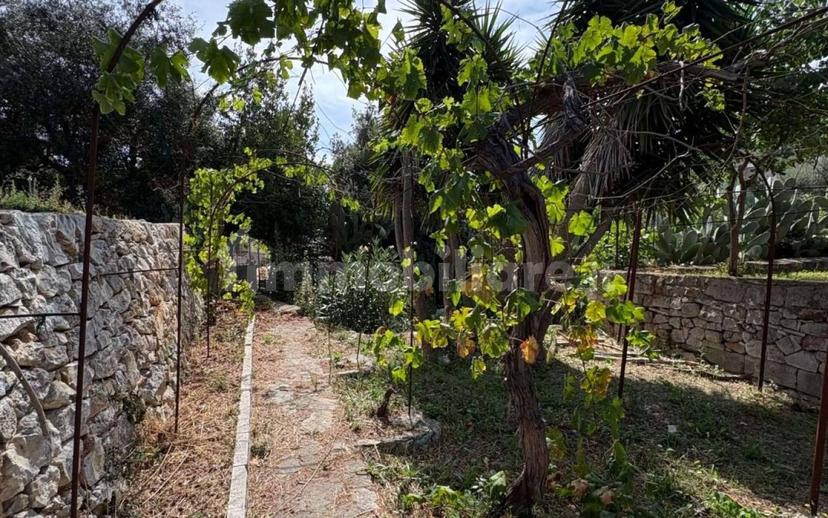 Villa unifamiliare viale Torre Moscia, Selva di Fasano, Laureto, Fasano — foto 4 di 32