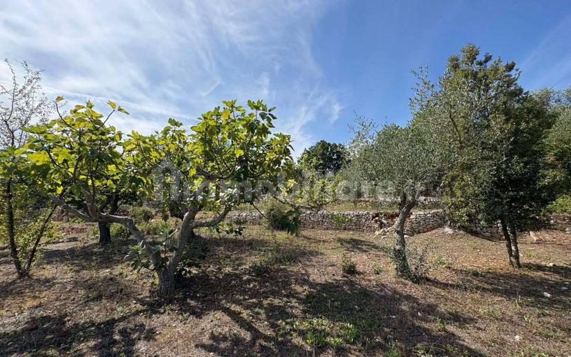 Villa unifamiliare viale Torre Moscia, Selva di Fasano, Laureto, Fasano — foto 24 di 32