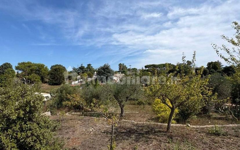 Villa unifamiliare viale Torre Moscia, Selva di Fasano, Laureto, Fasano — foto 21 di 32