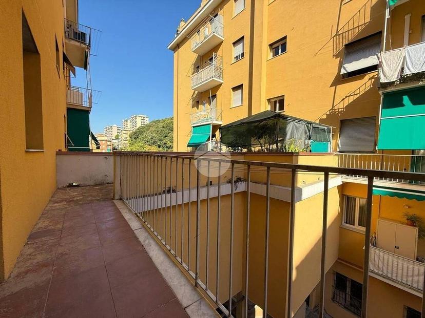 Trilocale via Pasquale Berghini 27, San Fruttuoso, Genova — foto 19 di 22