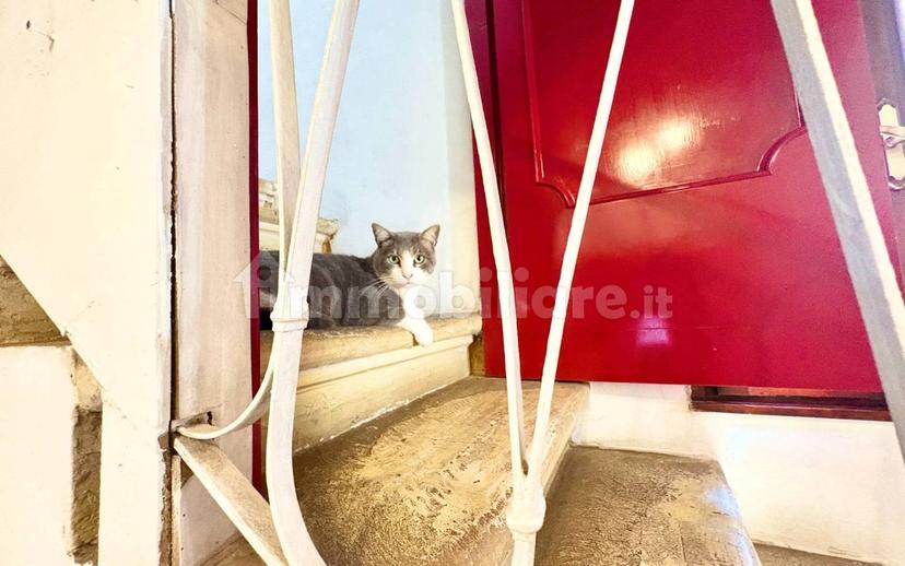 Appartamento in villa via Roma, Sant'Elena — foto 11 di 30