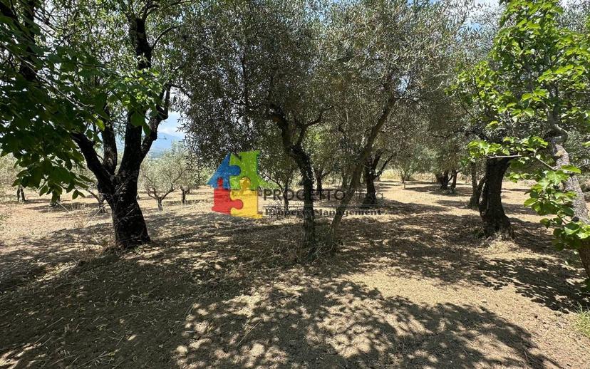 Villa unifamiliare via Castiglione, Castiglione di Sicilia — foto 7 di 36