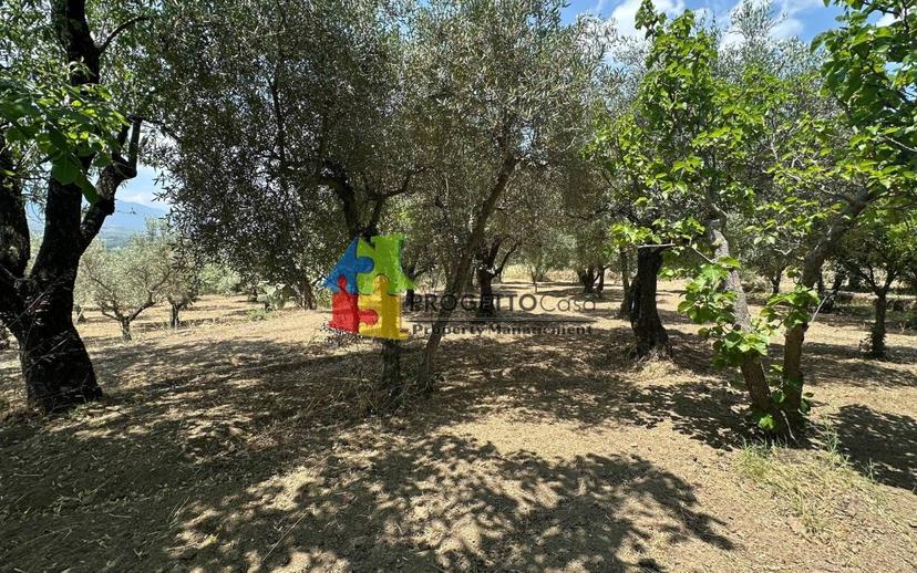 Villa unifamiliare via Castiglione, Castiglione di Sicilia — foto 34 di 36