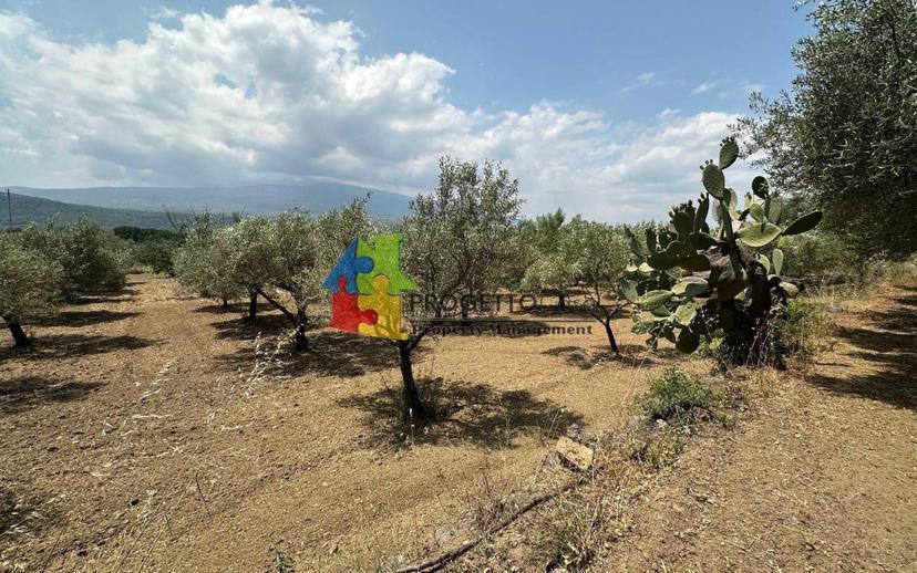Villa unifamiliare via Castiglione, Castiglione di Sicilia — foto 17 di 36
