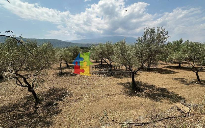 Villa unifamiliare via Castiglione, Castiglione di Sicilia — foto 23 di 36