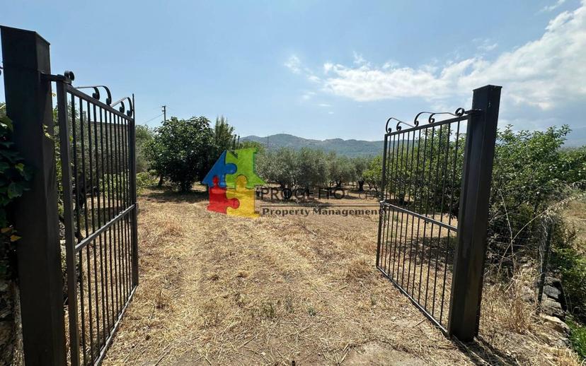 Villa unifamiliare via Castiglione, Castiglione di Sicilia — foto 10 di 36